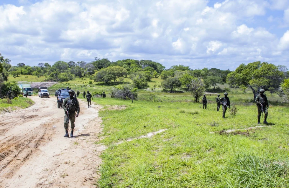 cabo delgado