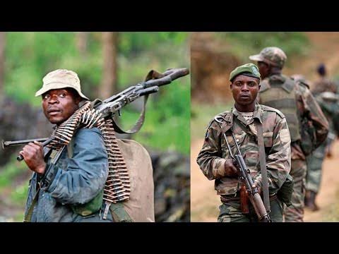 fdlr rutshuru